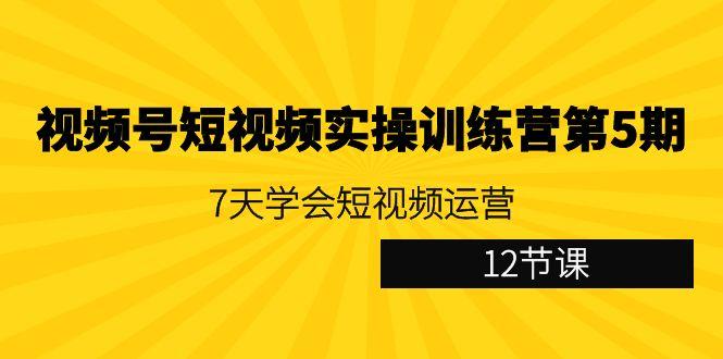 视频号短视频实操训练营第5期：7天学会短视频运营(12节课) - 识享社-识享社