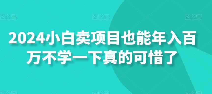 2024小白卖项目也能年入百万不学一下真的可惜了 - 识享社-识享社