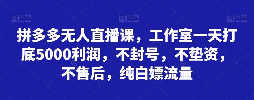 拼多多无人直播课，工作室一天打底5000利润，不封号，不垫资，不售后，纯白嫖流量 - 识享社-识享社