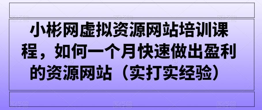 小彬网虚拟资源网站培训课程，如何一个月快速做出盈利的资源网站(实打实经验) - 识享社-识享社