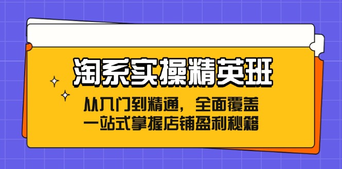 淘系实操精英班：从入门到精通，全面覆盖，一站式掌握店铺盈利秘籍 - 识享社-识享社