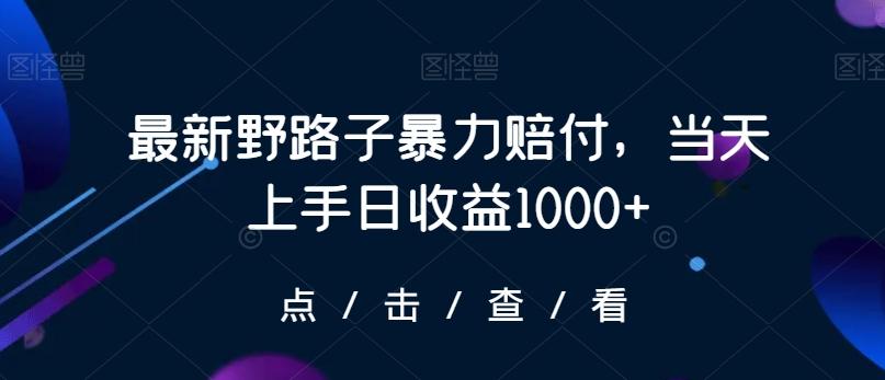 最新野路子暴力赔付，当天上手日收益1000+【仅揭秘】 - 识享社-识享社
