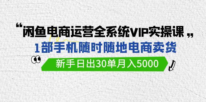 (9547期)闲鱼电商运营全系统VIP实战课，1部手机随时随地卖货，新手日出30单月入5000 - 识享社-识享社