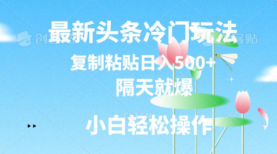 最新头条冷门玩法，隔天就爆，复制粘贴日入500+-识享社