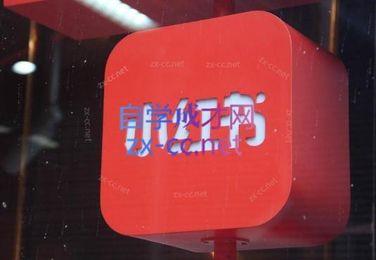 伊伊·红薯【高级班】运营课-识享社