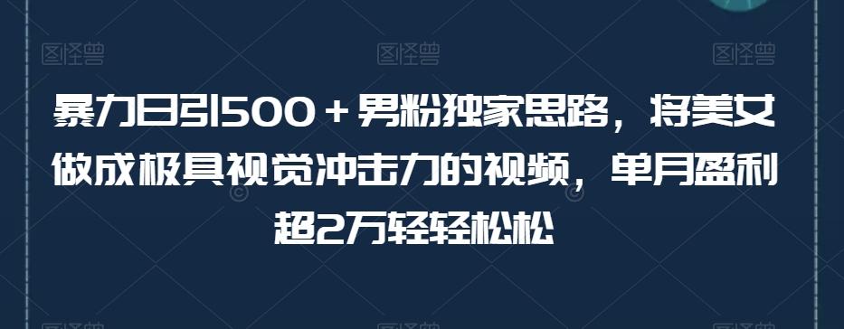 暴力日引500＋男粉独家思路，将美女做成极具视觉冲击力的视频，单月盈利超2万轻轻松松 - 识享社-识享社