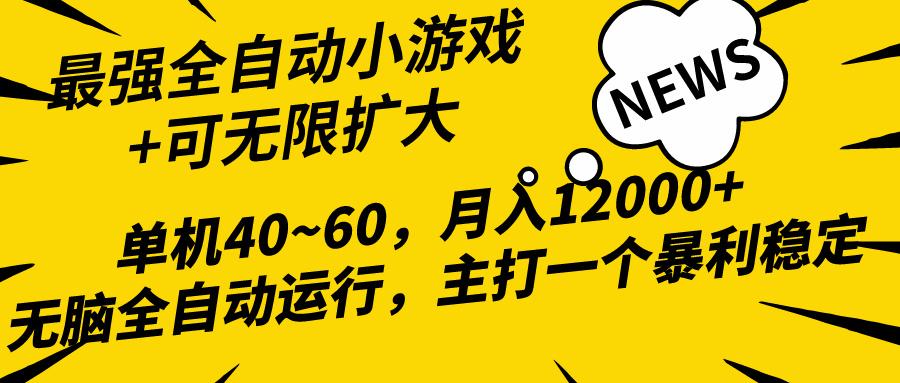 (10046期)2024最新全网独家小游戏全自动，单机40~60,稳定躺赚，小白都能月入过万 - 识享社-识享社