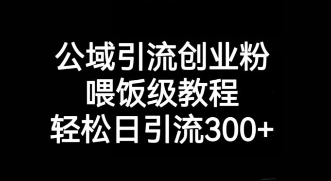 公域引流创业粉，喂饭级教程，轻松日引流300+【揭秘】 - 识享社-识享社