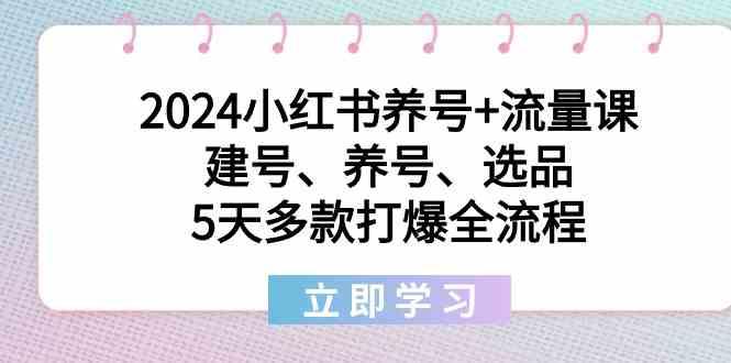 2024小红书养号+流量课：建号、养号、选品，5天多款打爆全流程 - 识享社-识享社