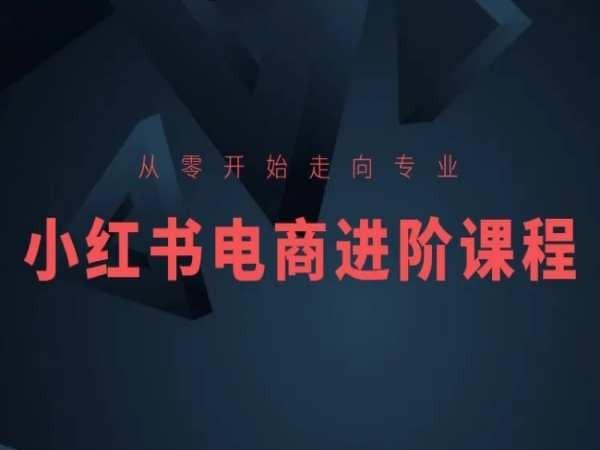 从零开始走向专业，小红书电商进阶课程 - 识享社-识享社
