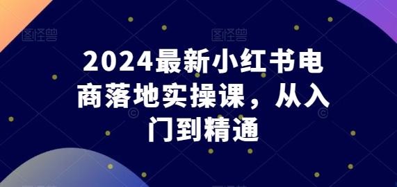 2024最新小红书电商落地实操课,从入门到精通-识享社