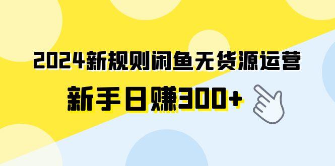 (9522期)2024新规则闲鱼无货源运营新手日赚300+ - 识享社-识享社