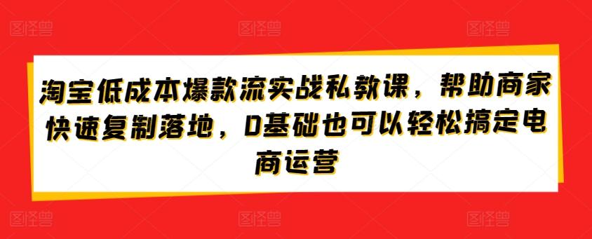淘宝低成本爆款流实战私教课，帮助商家快速复制落地，0基础也可以轻松搞定电商运营 - 识享社-识享社