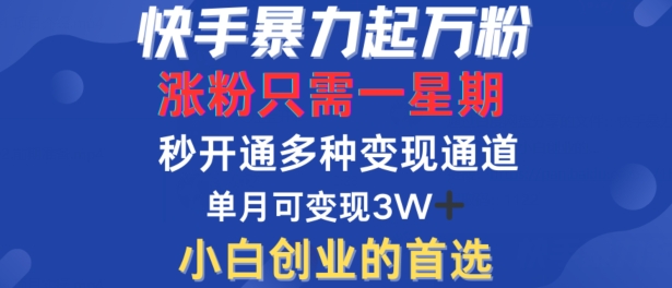 快手暴力起万粉，涨粉只需一星期，多种变现模式，直接秒开万合，单月变现过W【揭秘】 - 识享社-识享社