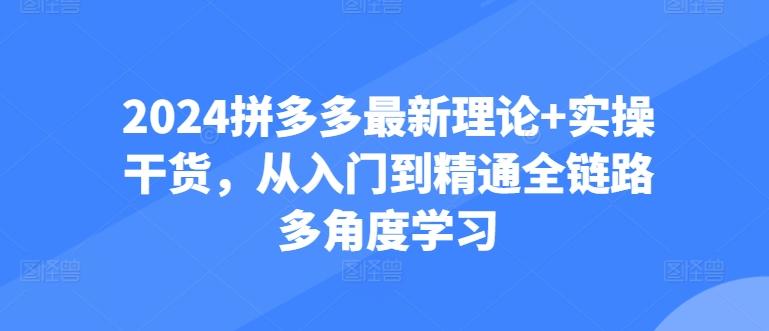 2024拼多多最新理论+实操干货，从入门到精通全链路多角度学习 - 识享社-识享社