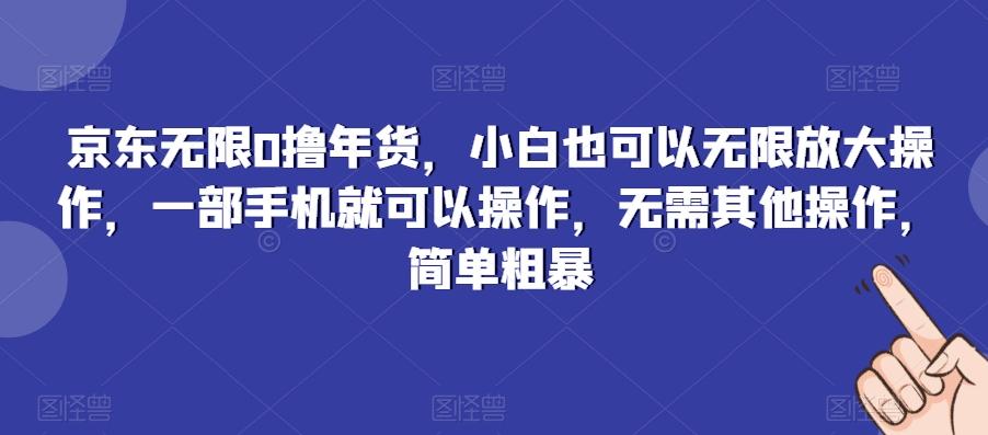 京东无限0撸年货，小白也可以无限放大操作，一部手机就可以操作，无需其他操作，简单粗暴 - 识享社-识享社