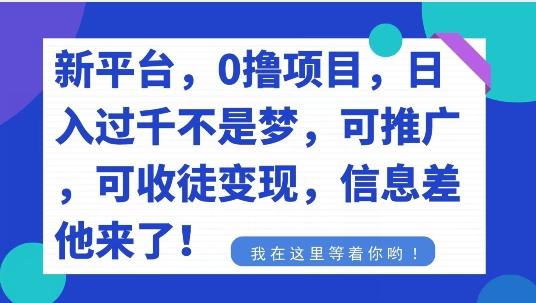 不要再花冤枉钱了，0撸项目，每天坚持，稳定1000+ - 识享社-识享社