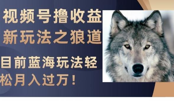 视频号撸收益新玩法之狼道，目前蓝海玩法，轻松月入过万【揭秘】 - 识享社-识享社