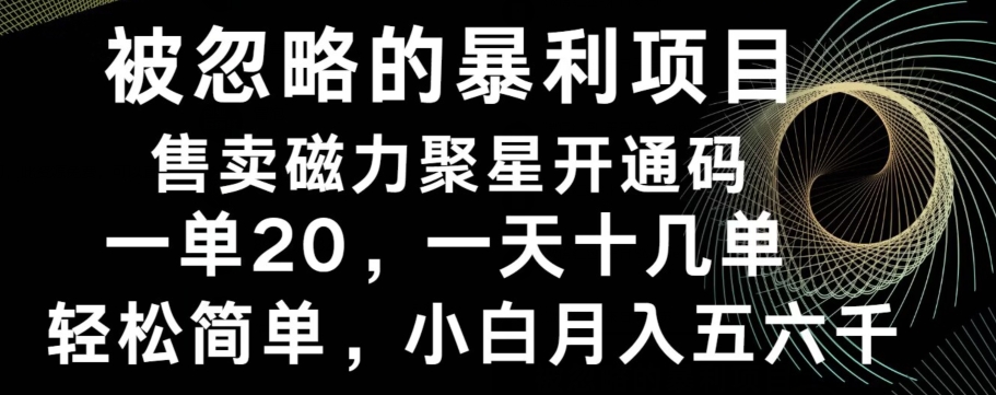 被忽略的暴利项目！售卖磁力聚星开通码，一单20，一天十几单，轻松月入五六千 - 识享社-识享社