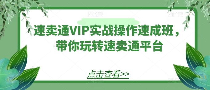速卖通VIP实战操作速成班，带你玩转速卖通平台 - 识享社-识享社