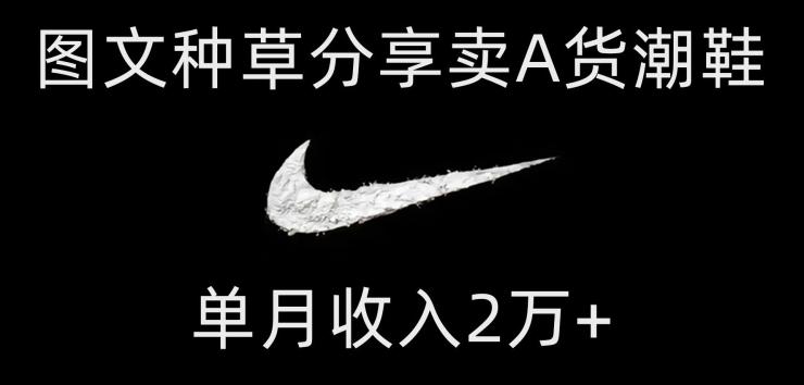 靠图文种草分享卖A货潮鞋,每天一小时,单月收入2万+【揭秘】