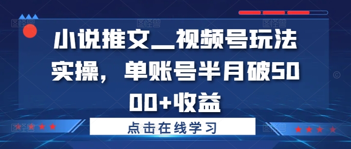 小说推文—视频号玩法实操，单账号半月破5000+收益 - 识享社-识享社