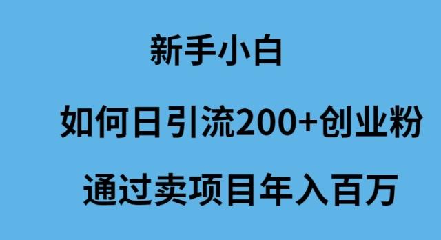 (9668期)新手小白如何日引流200+创业粉通过卖项目年入百万 - 识享社-识享社