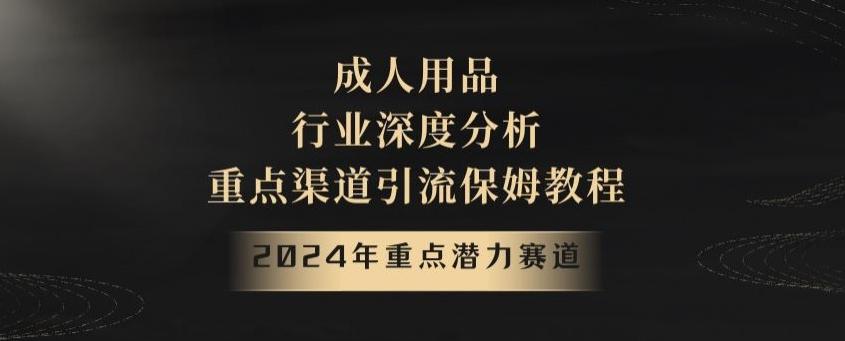 2024年重点潜力赛道，成人用品行业深度分析，重点渠道引流保姆教程【揭秘】 - 识享社-识享社