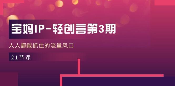 宝妈IP-轻创营第3期，人人都能抓住的流量风口(21节课-识享社