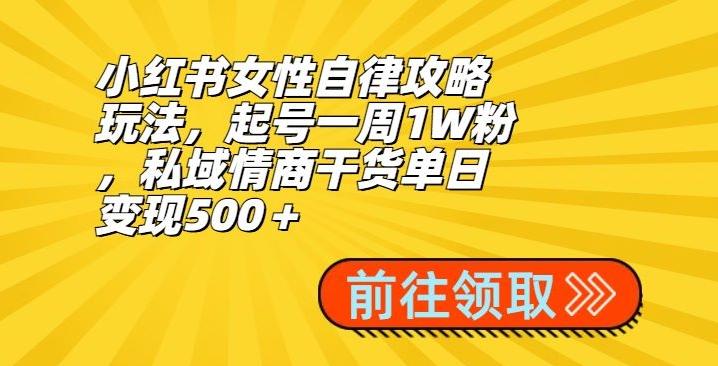 小红书女性自律攻略玩法，起号一周1W粉，私域情商干货单日变现500＋-识享社