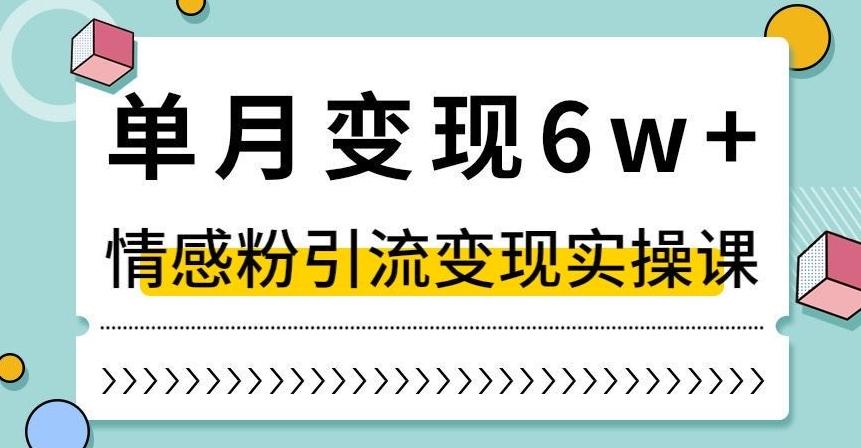单月变现6W+，抖音情感粉引流变现实操课，小白可做，轻松上手，独家赛道【揭秘】 - 识享社-识享社