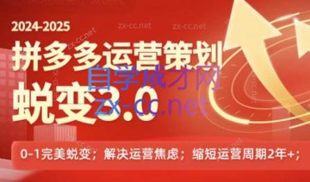 大力老师·2024拼多多运营策略蜕变3.0-识享社