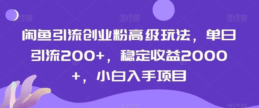 闲鱼引流创业粉高级玩法,单日引流200+,稳定收益2000+,小白入手项目-识享社