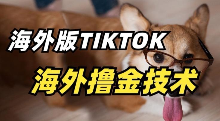 抖音海外版tiktok撸金技术，这个风口行业，赚钱真的不难【揭秘】 - 识享社-识享社