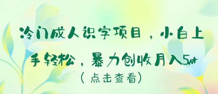 冷门成人识字项目，小白上手轻松，暴力创收月入5w+【揭秘】 - 识享社-识享社