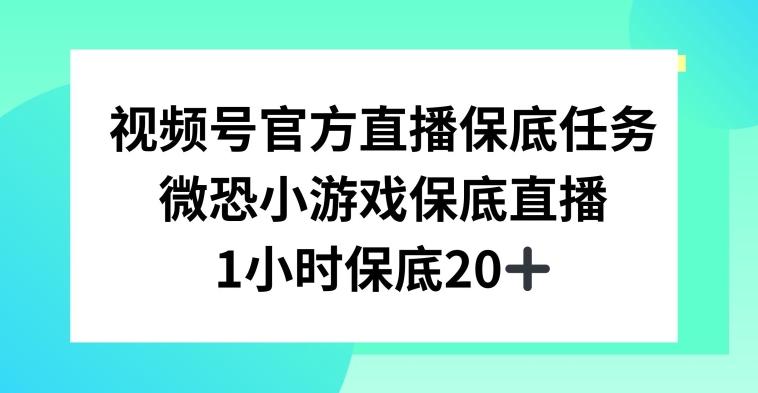 视频号直播任务，微恐小游戏，1小时20+【揭秘】 - 识享社-识享社