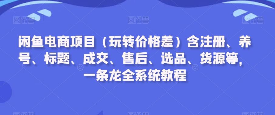 闲鱼电商项目(玩转价格差)含注册、养号、标题、成交、售后、选品、货源等，一条龙全系统教程-识享社