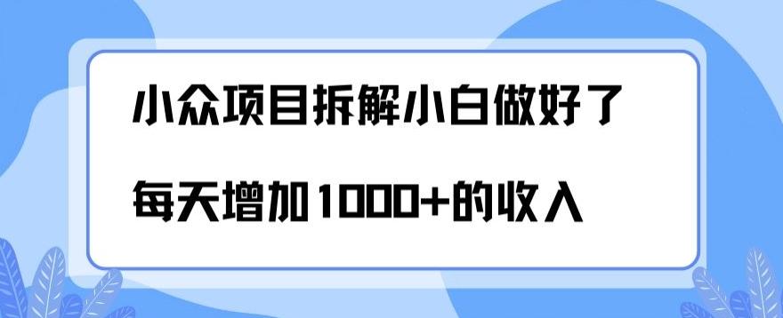 小众项目拆解，小白做好了每天可增加1000多的收入-识享社