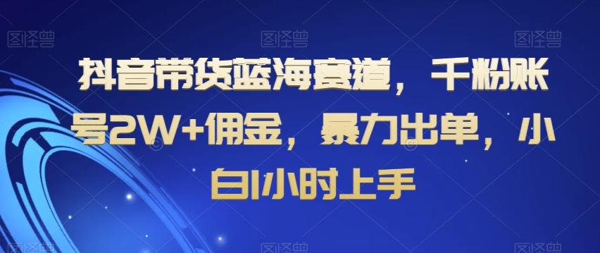 抖音带货蓝海赛道，千粉账号2W+佣金，暴力出单，小白1小时上手【揭秘】 - 识享社-识享社