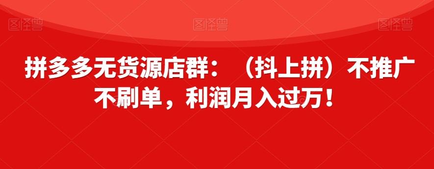 拼多多无货源店群：（抖上拼）不推广不刷单，利润月入过万！【揭秘】 - 识享社-识享社