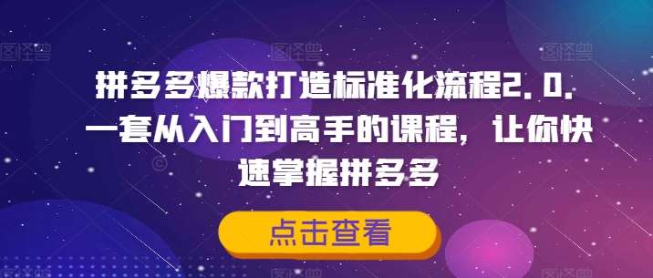 拼多多爆款打造标准化流程2.0，一套从入门到高手的课程，让你快速掌握拼多多 - 识享社-识享社