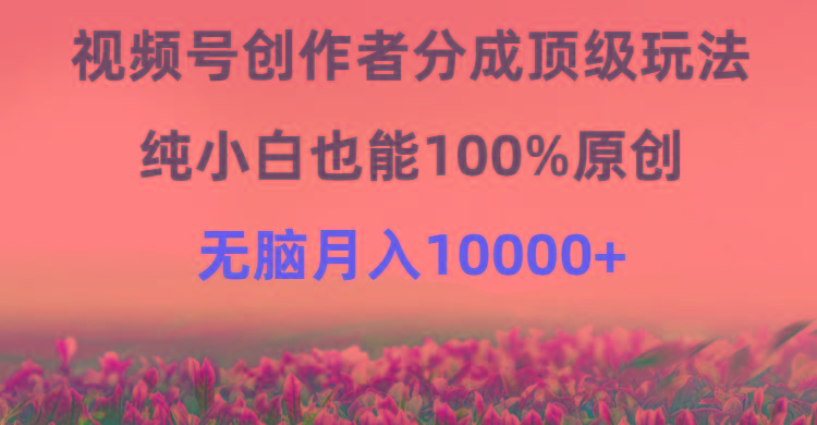 (9608期)视频号创作者分成顶级玩法，纯小白也能100%原创，无脑月入10000+ - 识享社-识享社