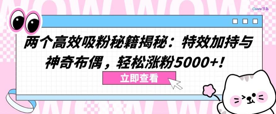 两个高效吸粉秘籍揭秘：特效加持与神奇布偶，轻松涨粉5000+【揭秘】 - 识享社-识享社