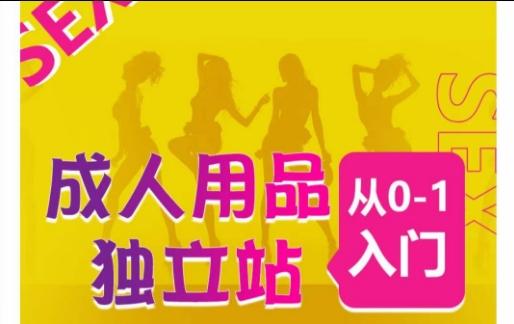 成人用品独立站从0-1入门，成品独立站运营全流程教学，七大好卖成品独立站推荐 - 识享社-识享社