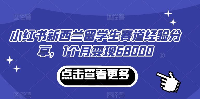 小红书新西兰留学生赛道经验分享，1个月变现68000【揭秘】 - 识享社-识享社