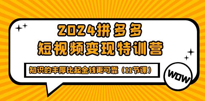 (9817期)2024拼多多短视频变现特训营，知识的丰厚比起金钱更可靠(11节课) - 识享社-识享社