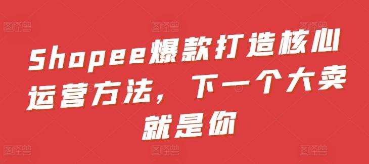 Shopee爆款打造核心运营方法,下一个大卖就是你