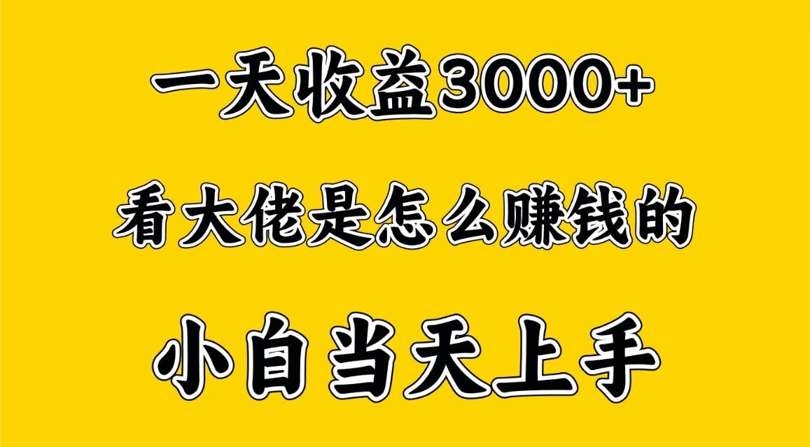 一天赚3000多，大佬是这样赚到钱的，小白当天上手，穷人翻身项目 - 识享社-识享社