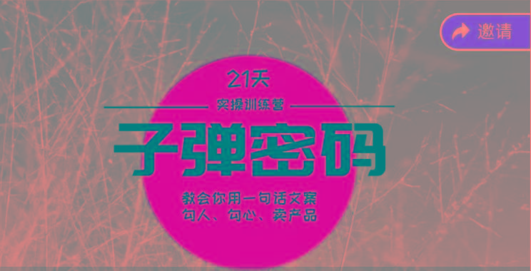 《子弹密码训练营》-用一句话文案勾人勾心卖产品，21天学到顶尖文案大师策略和技巧 - 识享社-识享社
