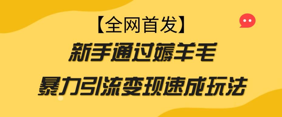 【全网首发】新手通过薅羊毛暴力引流变现速成玩法-识享社